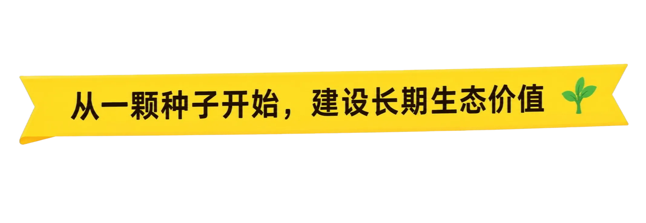 从一颗种子开始，建设长期生态价值